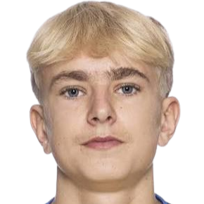 Hannes Hyllenbom profil resmi
