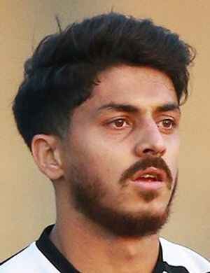Mohammad Hossein Karimzadeh