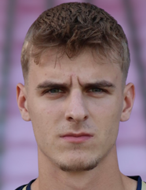 H. Mesic profil resmi
