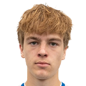 Pavel Gulin