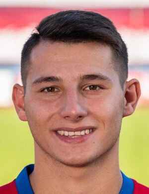 Milos borovcanin