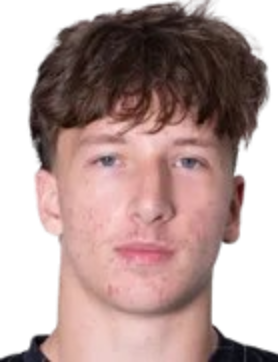 亚历山大·扎维尔迪诺斯