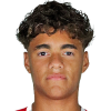 Luis Meneses profil resmi