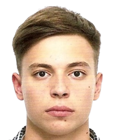 artjom volkov
