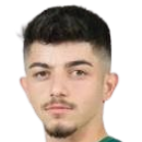 Şahin Dik