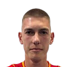 Aleksa karadzic