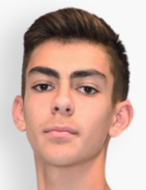 N. Chaldezos profil resmi