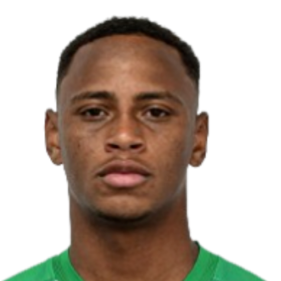 Marlon Santos Teodoro