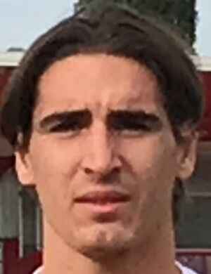 Pietro Faccioli profil resmi
