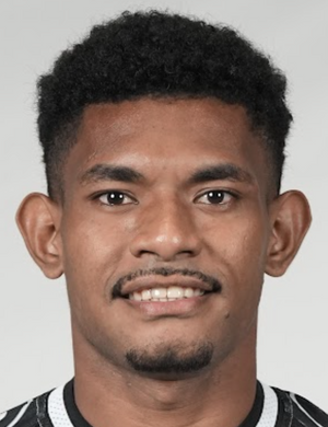 Sukandar Kansai profil resmi
