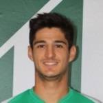 Dimitris Triantafyllidis