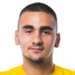 Srdjan Nedic