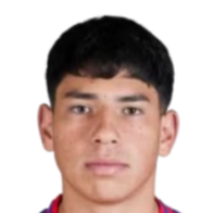 Javier Carcamo