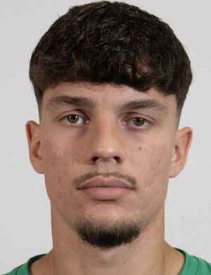 Hamza Samardzic