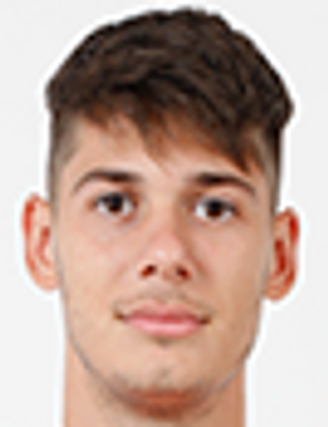 Valentin Borcea profil resmi