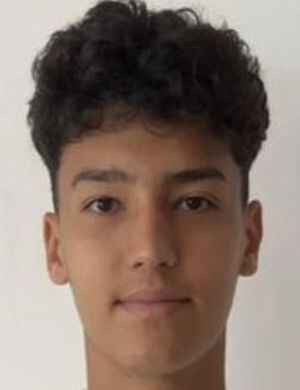 Yanis Raducanu profil resmi