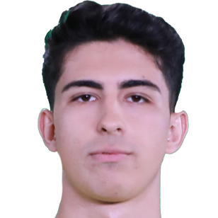Mehmet Eray Ozbek