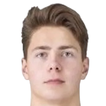 airidas mickevicius