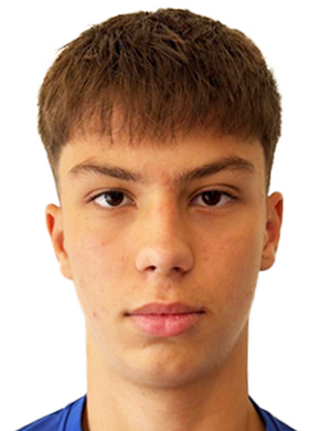 M. Milicic profil resmi