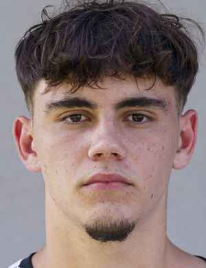 Mario Mandl profil resmi