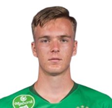 Csontos Dominik Zoltan photo