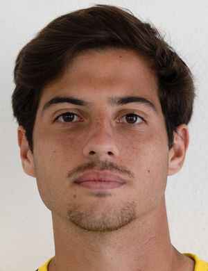 arthur diniz