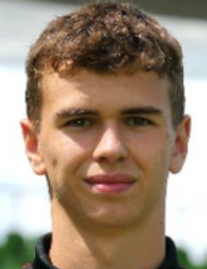 N. Guerriero profil resmi