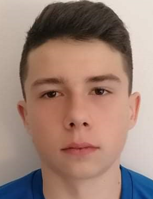 Ivor Ribar profil resmi
