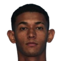 Pedro Henrique Gomes Costa Ferreira