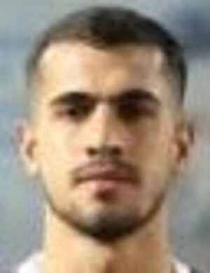 Amirreza Rafiei