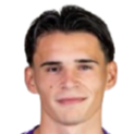 Armin Karic