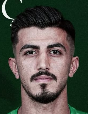 Ö. Aydemir