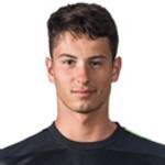 Gianluca Tolino photo