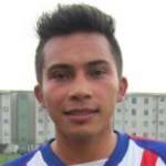 威爾默·博亞卡