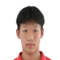 Ding Jiacheng