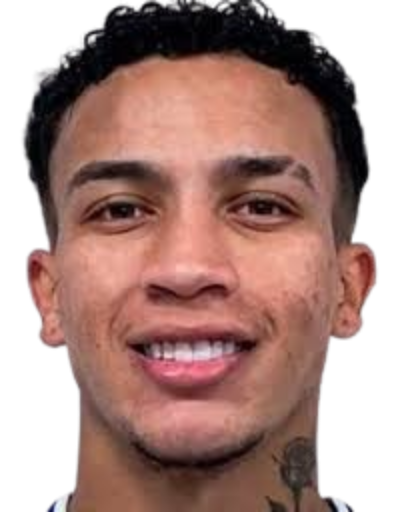 Gustavo Talles da Silva