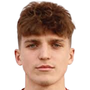 Vitalii Katrych