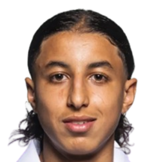 纳乌法尔·博哈姆迪-卡莫尼