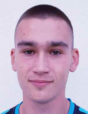 Marko Mitrovic