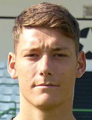 Vittorio Continella profil resmi