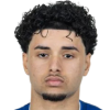 D. Zor profil resmi