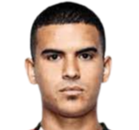 ليدور ميمون