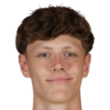 Erik baranyai ulvestad