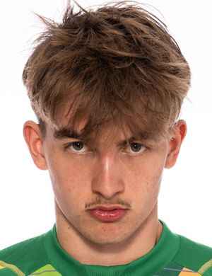 Villy Strindlund Larsen profil resmi