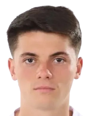 Mario Tudose