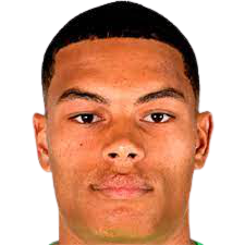 奈傑爾·範哈弗倫