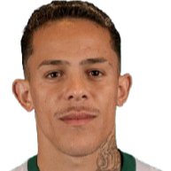 Wallisson Luiz Alves Máximo