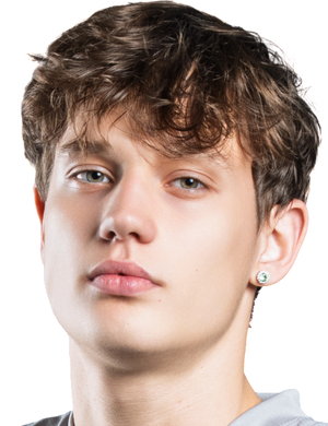 A. Licitis profil resmi