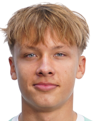 Vladislav Voronin