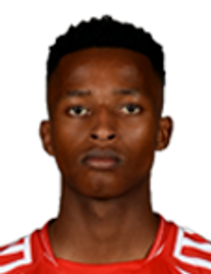 Khaya mfecane